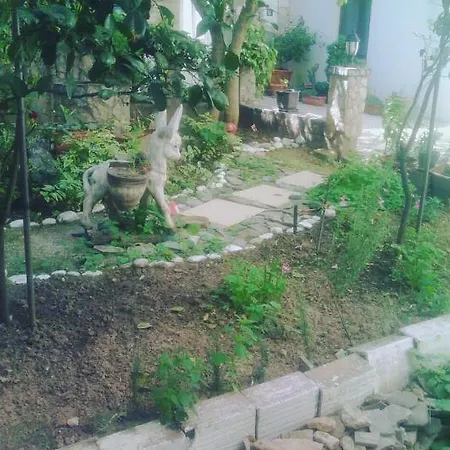 Mirza